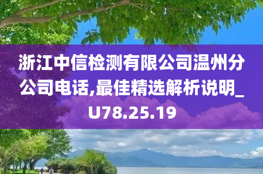 浙江中信检测有限公司温州分公司电话,最佳精选解析说明_U78.25.19