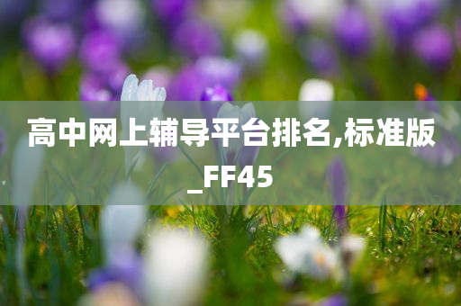 高中网上辅导平台排名,标准版_FF45