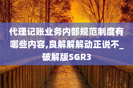 代理记账业务内部规范制度有哪些内容,良解解解动正说不_破解版SGR3