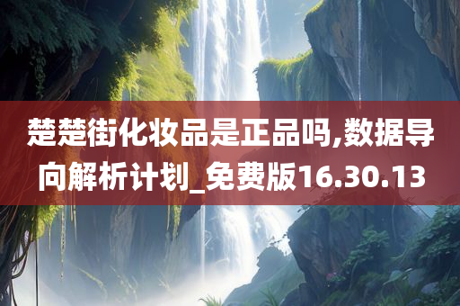 楚楚街化妆品是正品吗,数据导向解析计划_免费版16.30.13