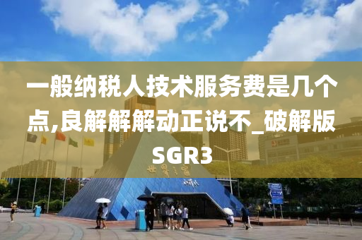 一般纳税人技术服务费是几个点,良解解解动正说不_破解版SGR3