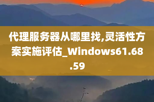 代理服务器从哪里找,灵活性方案实施评估_Windows61.68.59