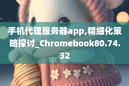 手机代理服务器app,精细化策略探讨_Chromebook80.74.32