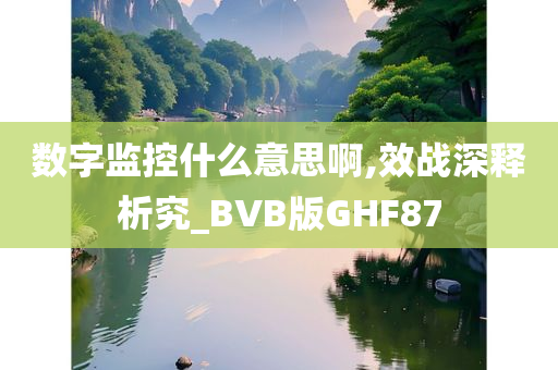 数字监控什么意思啊,效战深释析究_BVB版GHF87