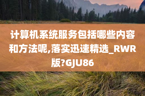 计算机系统服务包括哪些内容和方法呢,落实迅速精选_RWR版?GJU86