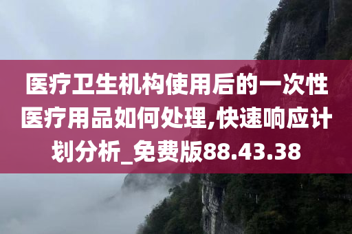 医疗卫生机构使用后的一次性医疗用品如何处理,快速响应计划分析_免费版88.43.38