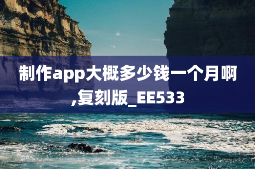 制作app大概多少钱一个月啊,复刻版_EE533