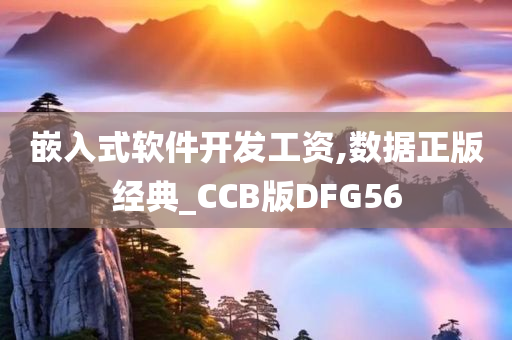 嵌入式软件开发工资,数据正版经典_CCB版DFG56