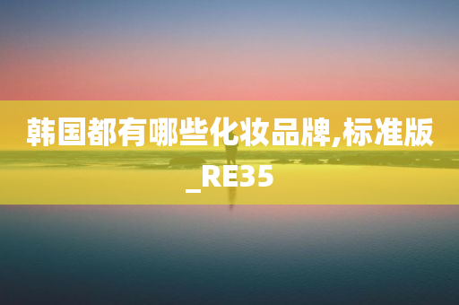 韩国都有哪些化妆品牌,标准版_RE35