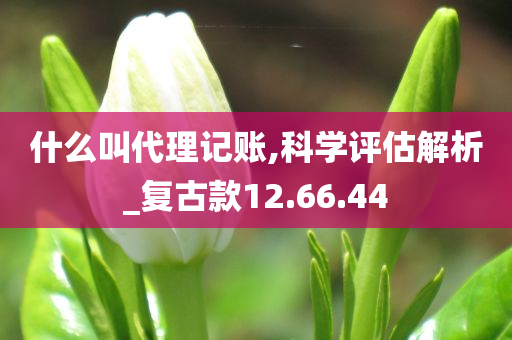 什么叫代理记账,科学评估解析_复古款12.66.44