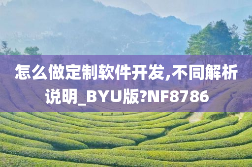 怎么做定制软件开发,不同解析说明_BYU版?NF8786