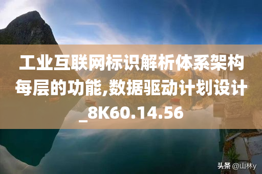 工业互联网标识解析体系架构每层的功能,数据驱动计划设计_8K60.14.56