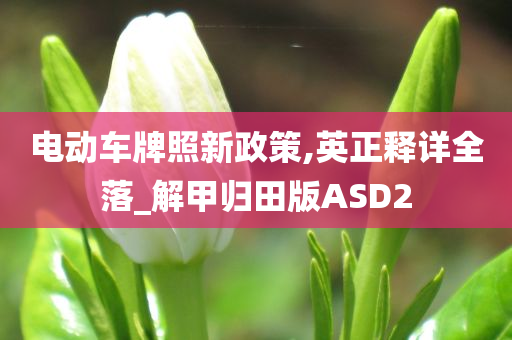 电动车牌照新政策,英正释详全落_解甲归田版ASD2