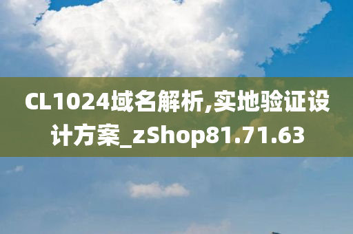 CL1024域名解析,实地验证设计方案_zShop81.71.63