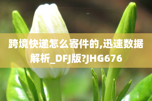 跨境快递怎么寄件的,迅速数据解析_DFJ版?JHG676