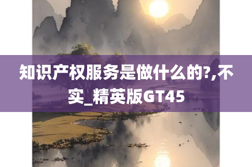 知识产权服务是做什么的?,不实_精英版GT45