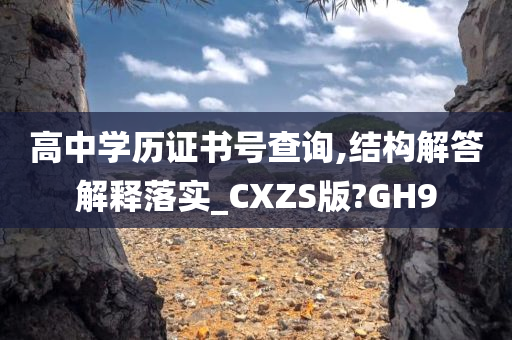 高中学历证书号查询,结构解答解释落实_CXZS版?GH9