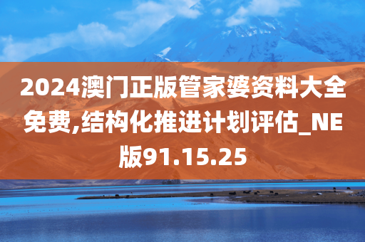 2024澳门正版管家婆资料大全免费,结构化推进计划评估_NE版91.15.25