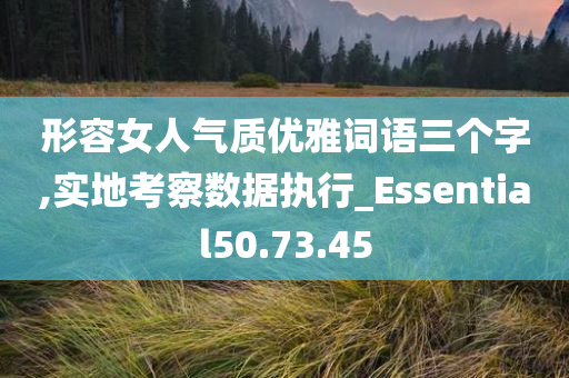 形容女人气质优雅词语三个字,实地考察数据执行_Essential50.73.45