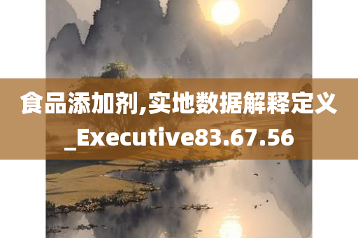 食品添加剂,实地数据解释定义_Executive83.67.56