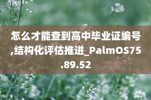 怎么才能查到高中毕业证编号,结构化评估推进_PalmOS75.89.52