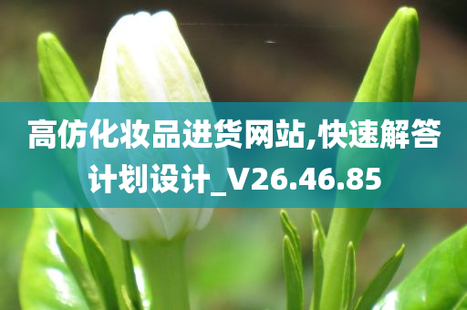 高仿化妆品进货网站,快速解答计划设计_V26.46.85