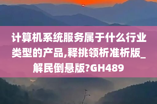 计算机系统服务属于什么行业类型的产品,释挑领析准析版_解民倒悬版?GH489