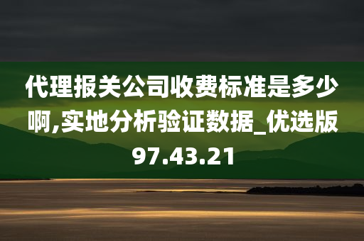 代理报关公司收费标准是多少啊,实地分析验证数据_优选版97.43.21