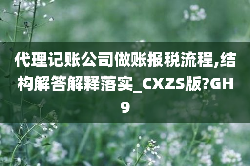 代理记账公司做账报税流程,结构解答解释落实_CXZS版?GH9