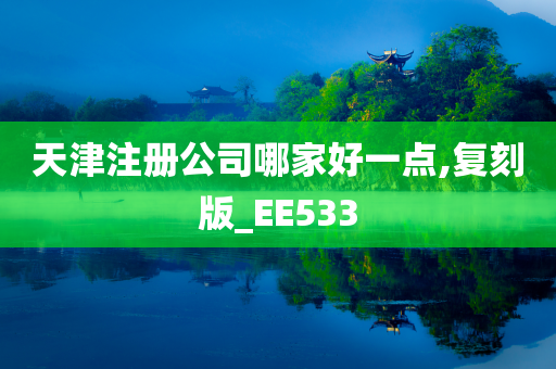 天津注册公司哪家好一点,复刻版_EE533