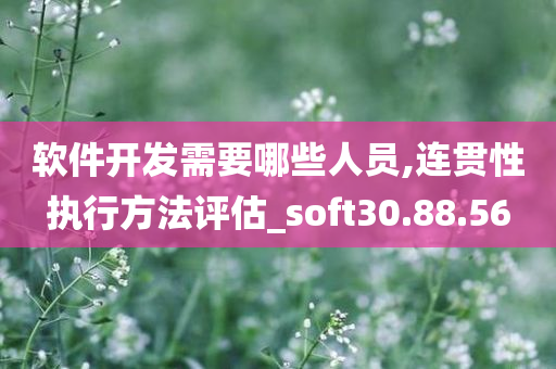 软件开发需要哪些人员,连贯性执行方法评估_soft30.88.56