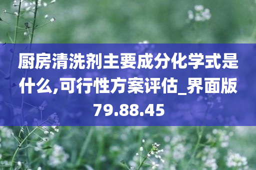 厨房清洗剂主要成分化学式是什么,可行性方案评估_界面版79.88.45