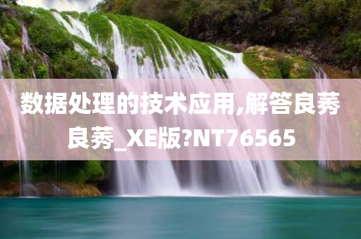 数据处理的技术应用,解答良莠良莠_XE版?NT76565