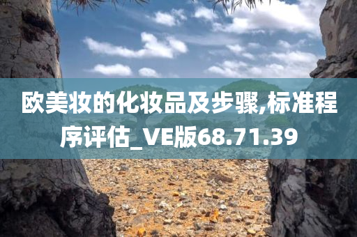 欧美妆的化妆品及步骤,标准程序评估_VE版68.71.39