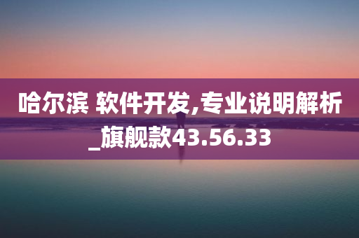 哈尔滨 软件开发,专业说明解析_旗舰款43.56.33