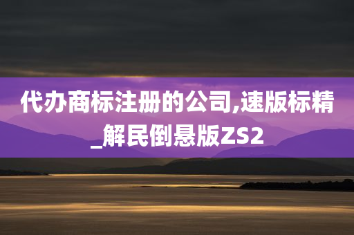 代办商标注册的公司,速版标精_解民倒悬版ZS2