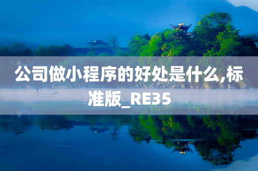 公司做小程序的好处是什么,标准版_RE35