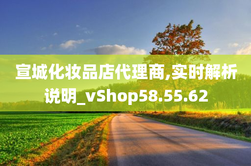 宣城化妆品店代理商,实时解析说明_vShop58.55.62