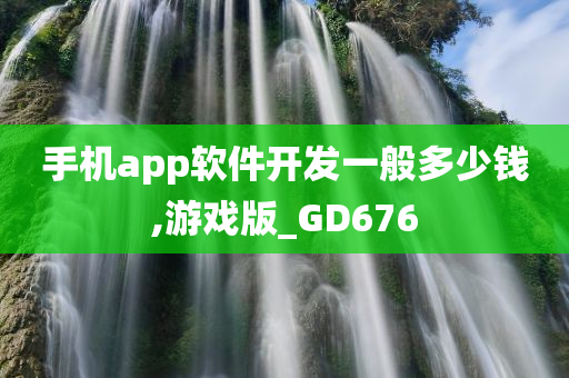 手机app软件开发一般多少钱,游戏版_GD676