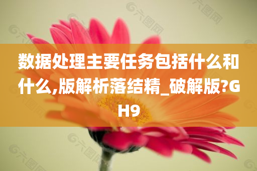 数据处理主要任务包括什么和什么,版解析落结精_破解版?GH9