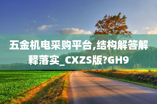 五金机电采购平台,结构解答解释落实_CXZS版?GH9