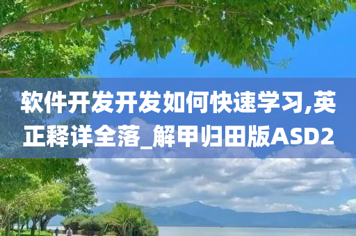 软件开发开发如何快速学习,英正释详全落_解甲归田版ASD2