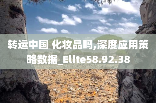 转运中国 化妆品吗,深度应用策略数据_Elite58.92.38