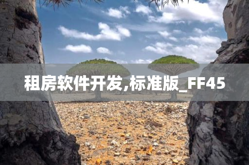 租房软件开发,标准版_FF45