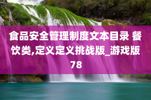 食品安全管理制度文本目录 餐饮类,定义定义挑战版_游戏版78