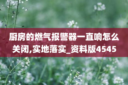 厨房的燃气报警器一直响怎么关闭,实地落实_资料版4545