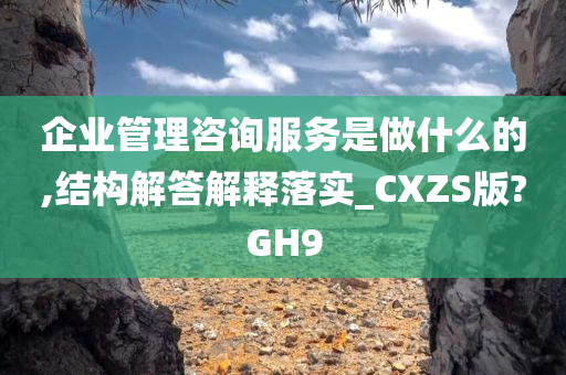 企业管理咨询服务是做什么的,结构解答解释落实_CXZS版?GH9