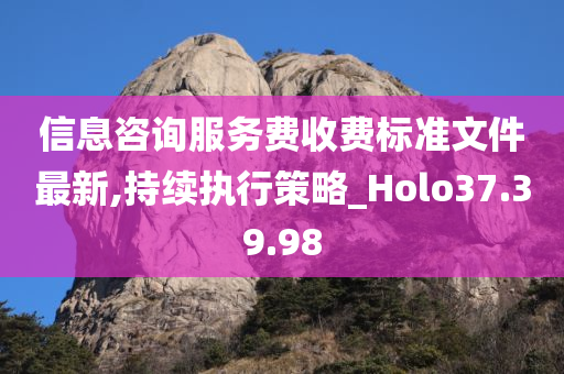 信息咨询服务费收费标准文件最新,持续执行策略_Holo37.39.98