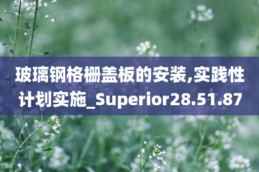 玻璃钢格栅盖板的安装,实践性计划实施_Superior28.51.87