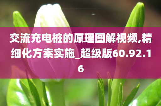 交流充电桩的原理图解视频,精细化方案实施_超级版60.92.16